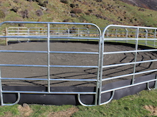 New Zealand Fencing Solutions - G008E Heavy Duty Cattle Yard Gate 2.7m 